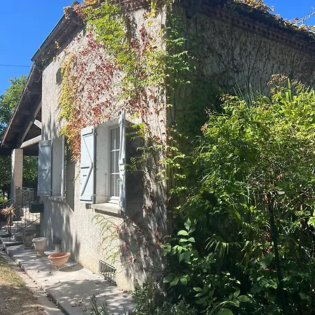 Du Verger Des Ecoliers Lectoure